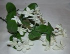 Silk Ivory-white Stephanotis Wedding Flower iridescent Bead Center artificial