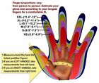Boxing Mma Gloves Grappling Punching Bag Training Kickboxing Ufc Fight Sparring