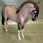 Peter Stone Grulla Pinto Andalusian Stallion  A Frosted Jac 