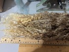 Teeswater Locks Sheep Fiber Fleece Spinning Weaving Felting Raw Super Long