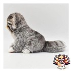 New Hansa Pallas s Cat Kitten Plush Toy 31cm Wild Japan Gift