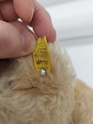 1970 s Steiff Mohair Teddy Bear  15 Inches  Light Gold  Ear Tag Vintage
