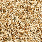 Parakeet Canary Finch Bird Seed Mix
