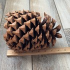 Large 2lb Glittered Pine Cone Rustic Crafts Holiday Decor Pinecone