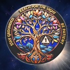     1 Year Sober Aa Chip  One Year Sobriety Coin Token  1 Year Recovery Chip Coin