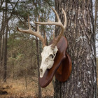 3 Pcs Deer European Skull Mount Kit Antler Skull Mounting Kit Wooden Display Mou