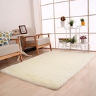 Fluffy Rugs Anti-skid Shaggy Area Rug Dining Room Carpet Floor Mat Home Bedroom   