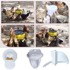 4pcs Chicken Feeder Automatic Feeders No Waste Port For Feeding