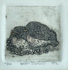Baby Juncos Birds Etching Framed Art Signed Ptl Bill Linda Neely Numbered 42 100