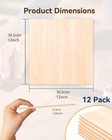 12 Pack Basswood 12 X 12 X 1 8 Inch  Sheets 12 12  X X 1 8 