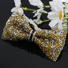 Ghtiylp Mens Rhinestone Bow Tie Pre-tied Bow Ties For Men Adjustable Sparkle    