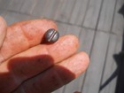 Ww1 French Model 1874 Gras Fusil Short Rifle Bolt Release Or Lock Screw