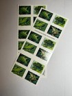 40 Frogs Forever Stamps  Out Of Print  Scott 5395  Free Shipping 
