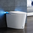 Horow Artistic Ada Bidet Smart Toilet with Map 1000g Flush  Auto Open close Lid
