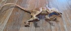  Safari Velociraptor -  1993 Dinosaur Toy
