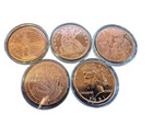 Lot 5 - 1oz Round Coins Fine 999 Copper A Total Of 5 Oz  Mix Round Sorted