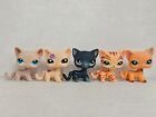 5pcs lot Lps Littlest Pet Shop Short Hair Cat  228 1962 336 1451 1643 Figure New