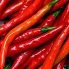 Cayenne Long Thin Pepper Seeds   Heirloom   Non-gmo   Free Shipping   1005