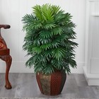 Nearly Natural Areca Palm Vase Silk Plant 38 X 27 X 25 6651
