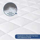 Waterproof Sofa Bed Mattress Protector Pad Full Absorbent Topper Cover Quilted