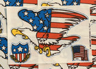American Flag Sticker Transfer 1984 Mark 1 Iron On Scratch   Sniff  5 Sheets