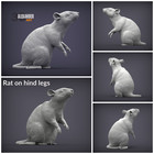 Rats - 1 12 Scale Miniature Animal For Dollhouse  Diorama By Alexander Kuzmenko