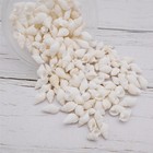 90grams About 250pcs White Tiny Seashell Natural Beach Spiral Shells Craft Ch   