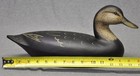 Ill  River Style Black Duck Drk Duck Decoy Orig  Paint Darkfeather Freedman Sign
