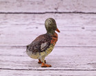 Antique Austrian Vienna Cold Painted Bronze Figure Of Young Mallard Duck