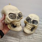 Spooky Skull Set Halloween Gothic Haunted House Plastic Skeleton Head Macabre F8