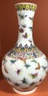 Rare Chinese Porcelain Vase  Qing  Guangxu Famille Rose  100 Butterflies  H 26cm