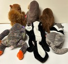 Ty Beanie Babies 6 Pc Lot All W  Tags   Stinky Nuts Bucky Bananas Leaves