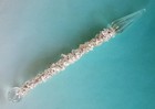 Crystal Quartz Wand With  Arkansas Crystal And Crystal Point   Chakra Wand