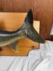 Lake Trout Ontario Wall Art 31    Fish Wall Mount