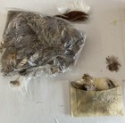 Huge Box Lot Vintage Various Millinery Feathers To Adorn Doll Or Ladies Hats