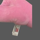 Neopets 25th Anniversary Pink Aisha Mystery Blind Box Plush      with   No  Code