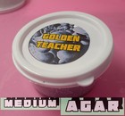 Golden Teacher Agar  medium   5ml Lc   And 10ml Lc 