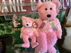 Ty Beanie Baby And Buddy Set Of 2    sherbet    Light Pink Teddy Bears