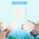 12 Pcs Scallop Shells Natural Seashell  4  To 5  White Scallop Shells Large Seas