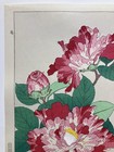 Kawarazaki Shodo Woodblock Print    camellia    Kyoto Unsodo Flower Prints