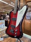 Epiphone Thunderbird Bass Guitar With Case  Missing Trust Rod Plate 