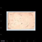 Old Vintage Photo Man Woman Couple Outside House