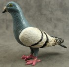 Large Cast Iron Pigeon Statue Vintage Style Dove Bird Ny Home Garden Decor New