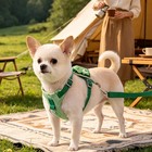 Cute Dog Harness And Leash Set  Soft Vest Harness For Small Puppy Cat Walking