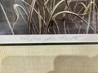 Jim Booth  mallard Haven   Limited Edition Art Print Signed  Numbered  Framed