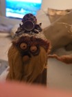 Ken Arensbak Troll Forest Vintage 1970s Original 5 Arts Studio Folk Art 8 