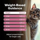 Dewormer For Cats And Kittens Tapeworm Medicine For Cats Treatment
