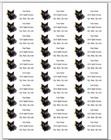 150  Black Cat Kitten   Return Address Labels Personalized Printed  1 X 2 5 8