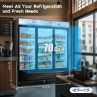 81  Glass Door Merchandiser Freezer 70 Cu ft Commercial Display Upright Freezer