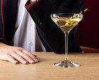 Riedel Extreme Martini  Wine Glass  Set Of 2   Dishwasher Safe